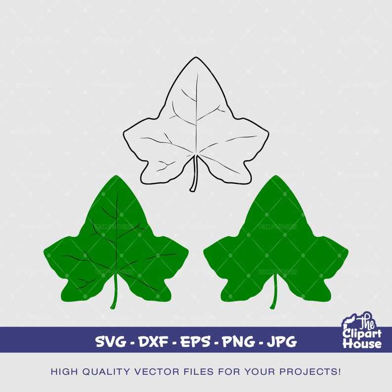 Lvy Leaf Leaf Svg Nature Svg Cut Files for Cricut Digital Download#1