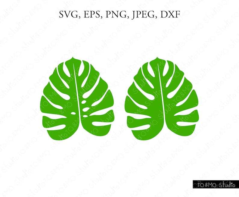 Monstera Leaf Svg Tropical Leaf Svg Tropical Leaf Clipart Summer Svg Cricut Silhouette Cut Files#1