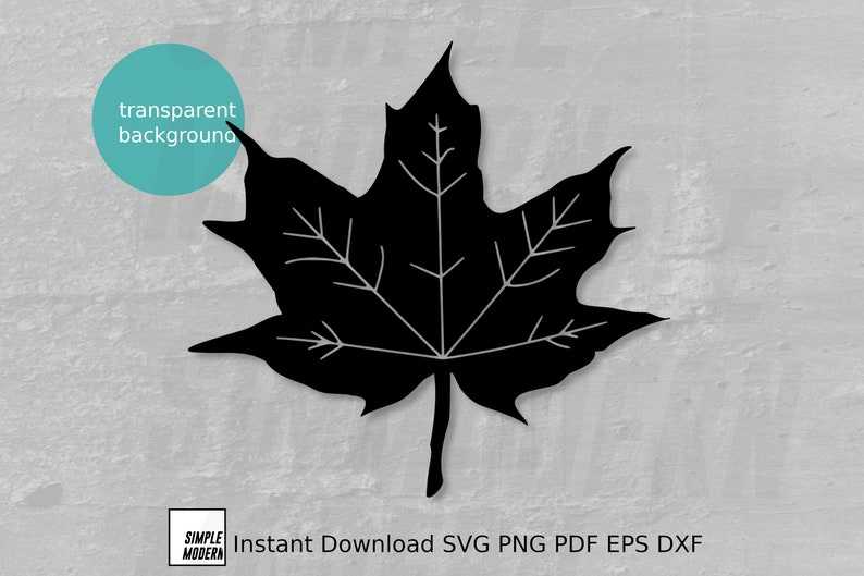 Maple Leaf Svg Autumn Fall Leaves Png Files for Cutting Machine and Printing Instant Download#2