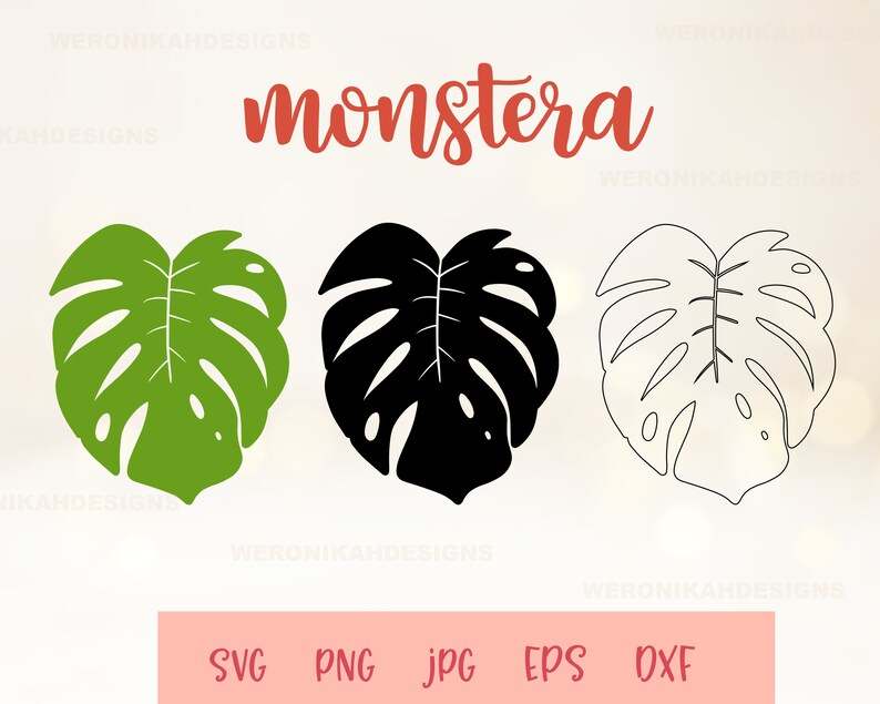 Monstera Leaf Svg Instant Download#1