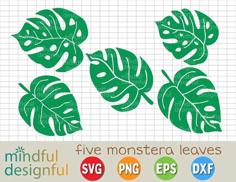 Monstera Leaf Svg Bundle Creativity and Fun Digital Download  