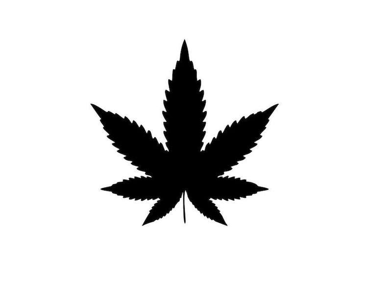 Pot leaf Svg Creativity and Fun Digital Download  