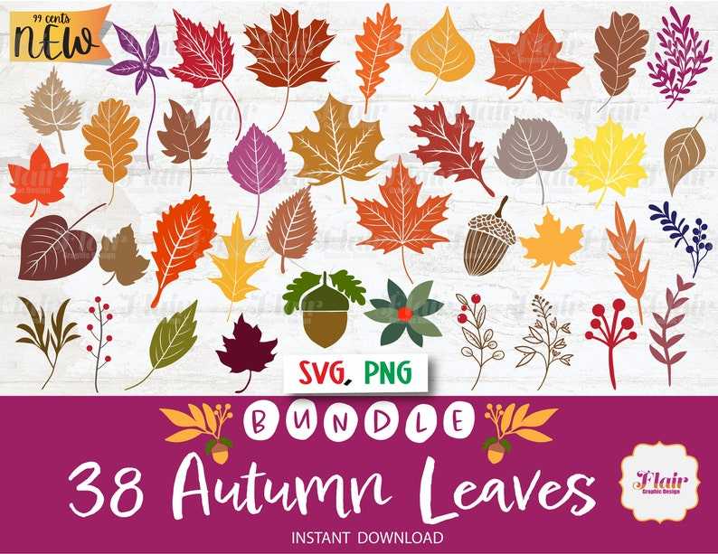Autumn Leaves Svg Bundle Digital Clipart Fall Leaf Divider Svg#1