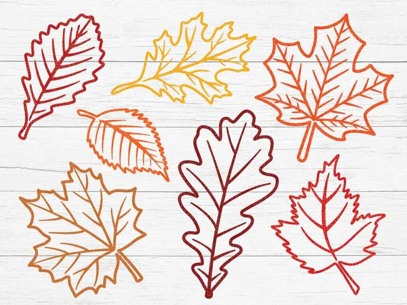 Fall Leaf Svg Bundle Cut Files for Cricut Glowforge Files Download#2