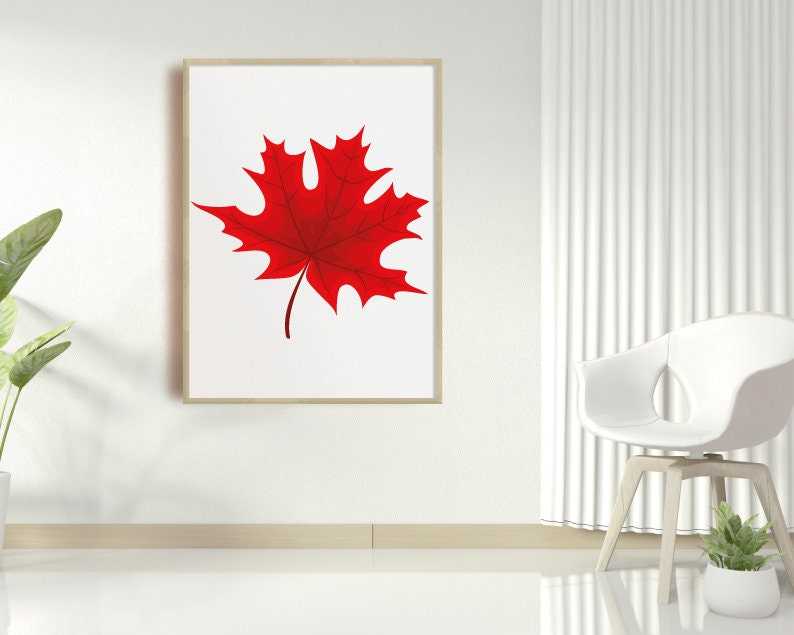 Maple Leaf Bundle Fall Svg Cut Files for Cricut Silhouette Digital Download#1
