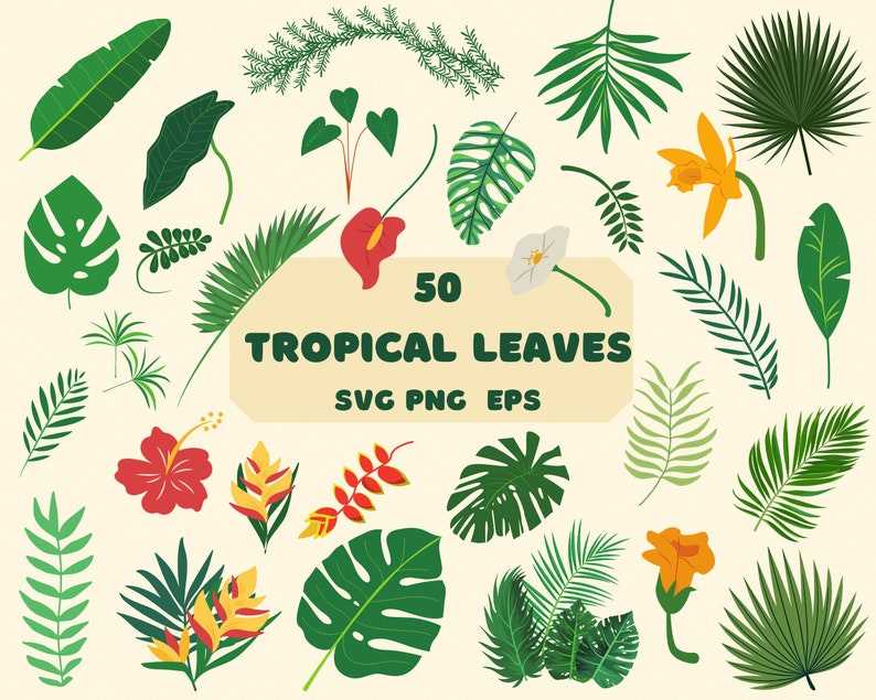 Tropical Leaves Bundle Tropical Leaf Svg Jungle Leaves Svg Palm Leaves Svg Digital Download#1