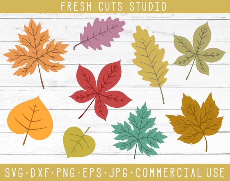 Fall Autumn Leaf Svg Leaves Instant Download Design SVG Cutting Files for Cricut#1