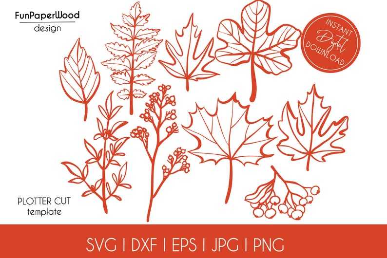Set Fall Autumn Leaves Vector Svg High Quality Perfect for your Design 