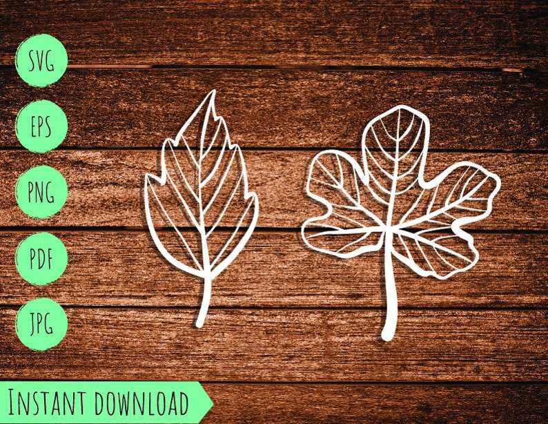 Set Fall Autumn Leaves Vector Svg Maple Leaf Template Cut Cutting Thanksgiving Halloween Clipart#3
