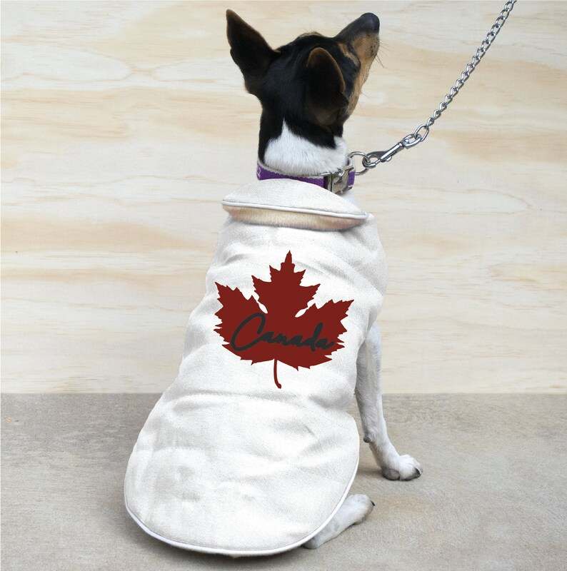 Maple Leaf Svg Canada Maple Leaf Svg Canadian Maple Leaf#3