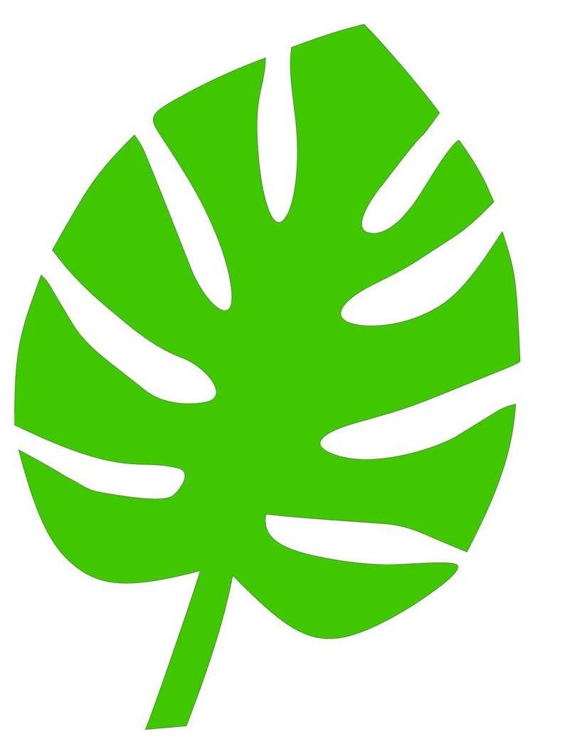 Tropical Leaf Svg Monstera Leaf Svg#1