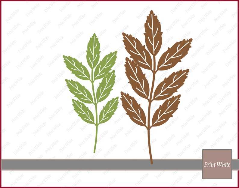 Fall Svg Leaves Clipart, Maple Leaf Svg Autumn Leaves Svg Leaves Cut File Cricut Cutting File Digital Download#3
