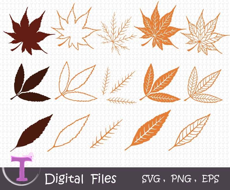 Fall Leaves Svg Bundle Layered Leaf Svg, Autumn Leaves Svg Digital Download#5