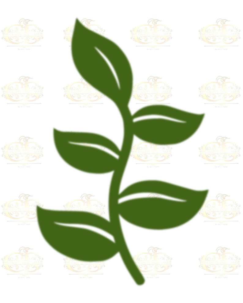 6 Different Leaves Svg Bundle Digital Download#2