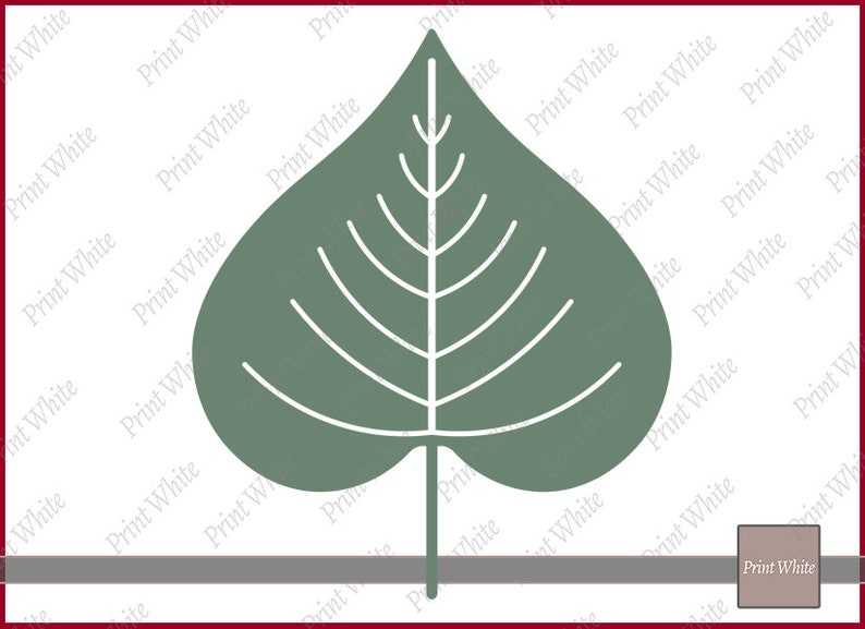 Fall Leaf Svg Fall Svg Maple Leaf Svg Autumn Leaves Svg Digital Download#5