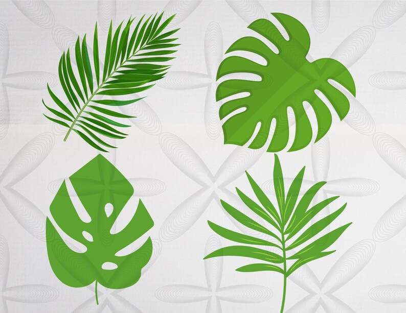 Tropical Leaves Svg Bundle Tropical Leaf Svg Palm Leaves Svg Monstera Svg Digital Download#4