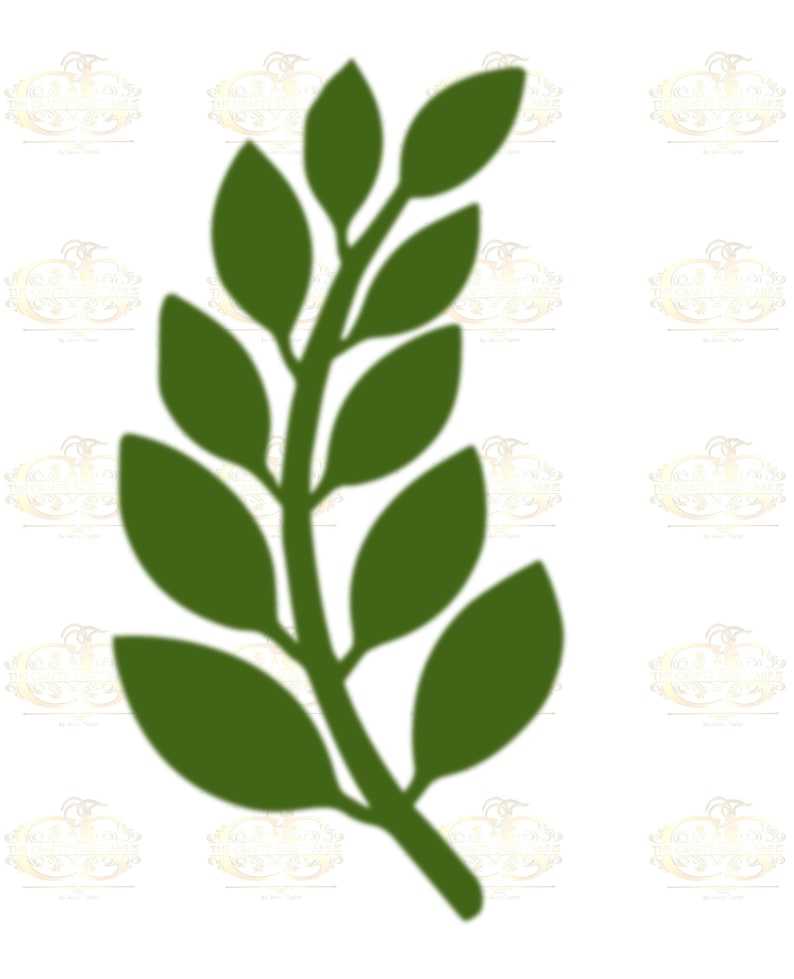6 Different Leaves Svg Bundle Digital Download#7