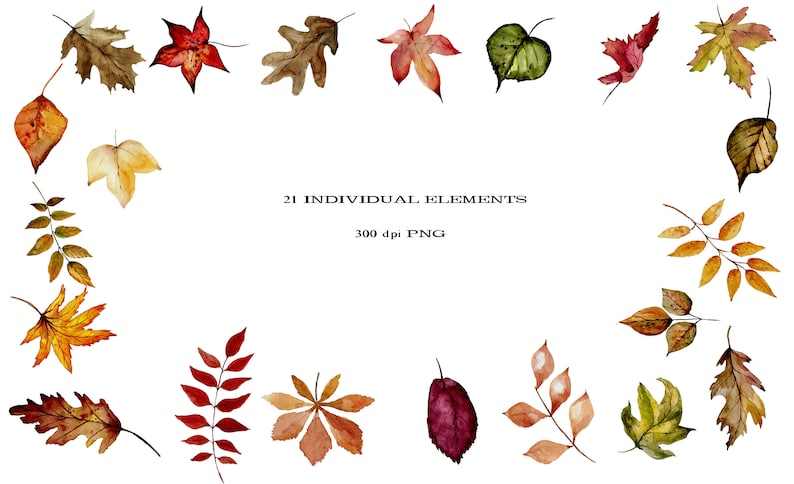 Watercolor Fall Leaves Clipart Svg High Quality Perfect for your Design