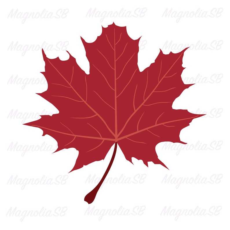 Maple Leaf Svg Red Leaf Svg Cut File for Cricut#1