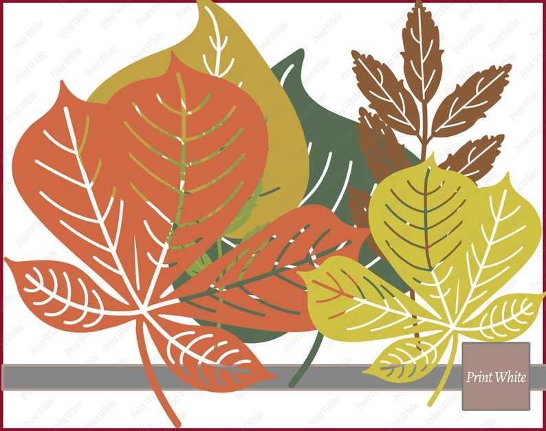 Fall Svg Leaves Clipart, Maple Leaf Svg Autumn Leaves Svg Leaves Cut File Cricut Cutting File Digital Download#8