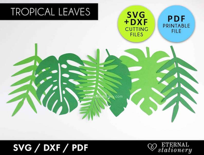 Download Tropical Leaf Svg Designs For Your Craft Projects 