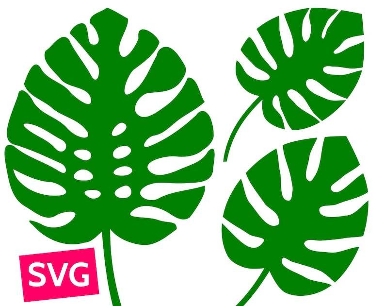Monstera Leaf Svg Files for Cricut Monstera Leaves Svg Tropical Leaf Svg#1