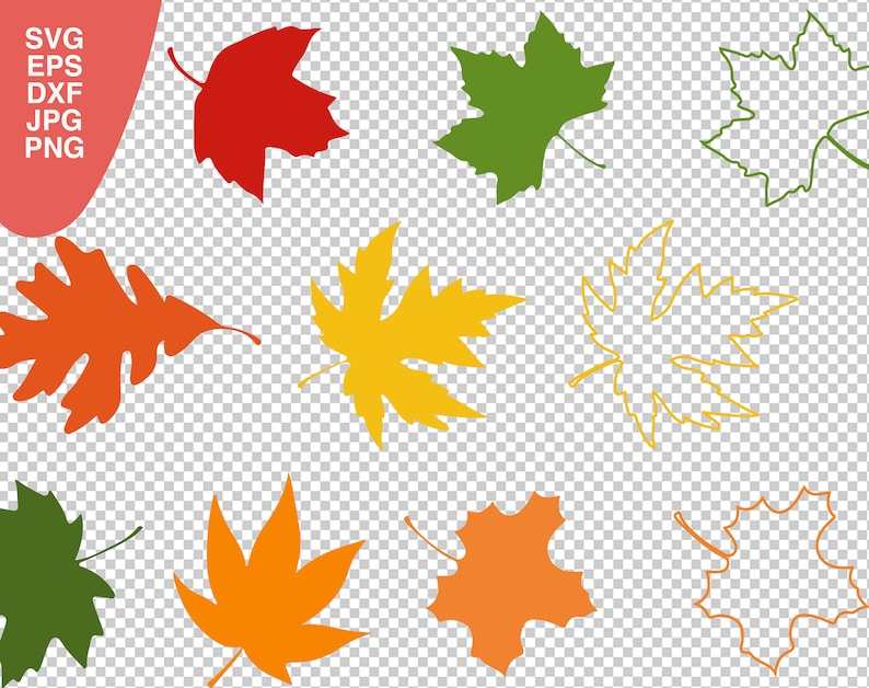Maple Leaf Svg Fall Leaves Set Autumn Leaves Svg Fall Leaf Cut Files Digital Download#3