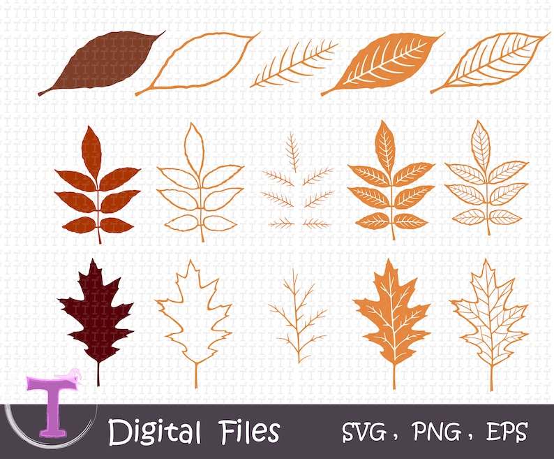 Fall Leaves Svg Bundle Layered Leaf Svg, Autumn Leaves Svg Digital Download#2