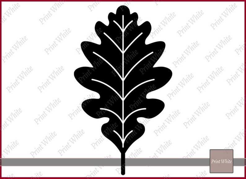 Fall Leaf Svg Fall Svg Maple Leaf Svg Autumn Leaves Svg Digital Download#8
