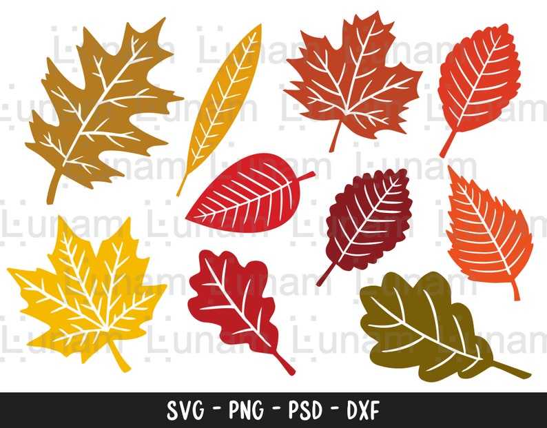 Paper Leaves SVG/ Leaf Templates/ Cut Files for Cricut/ Silhouette/  Clipart/ Vector