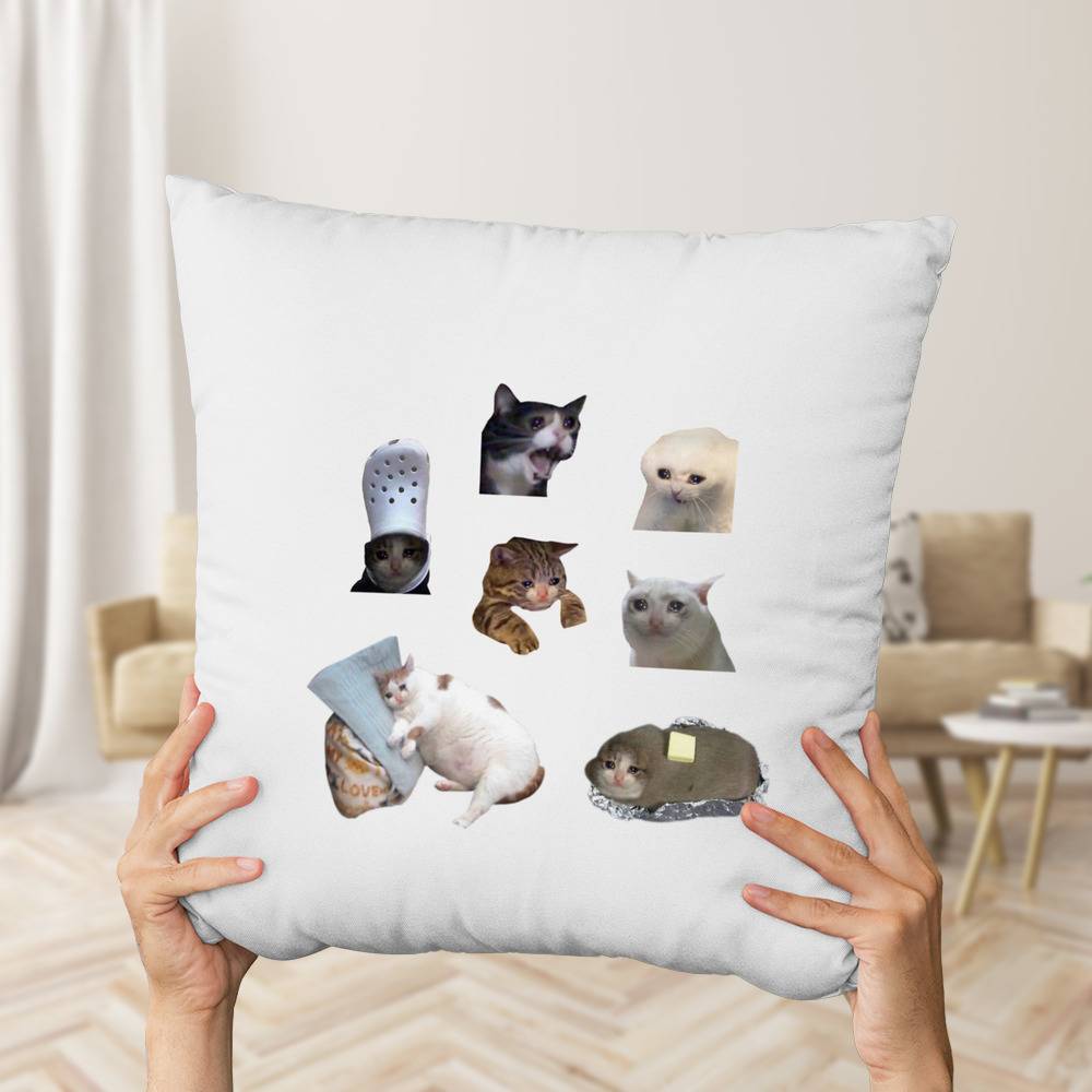 Cat Meme Pillow Cases, Meme Cushion Covers