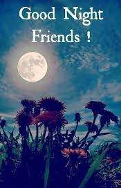 Good Night Images For Friends, friends good night shayari 5