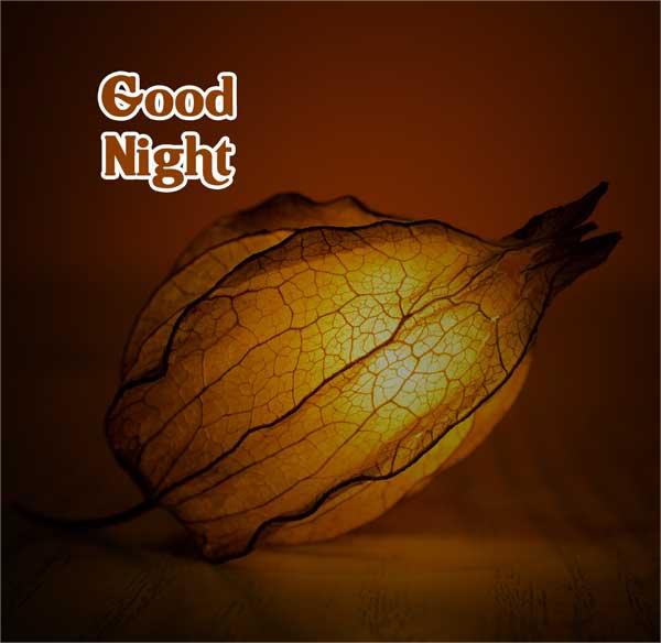 Good Night Images, good night image new, good night pic 30
