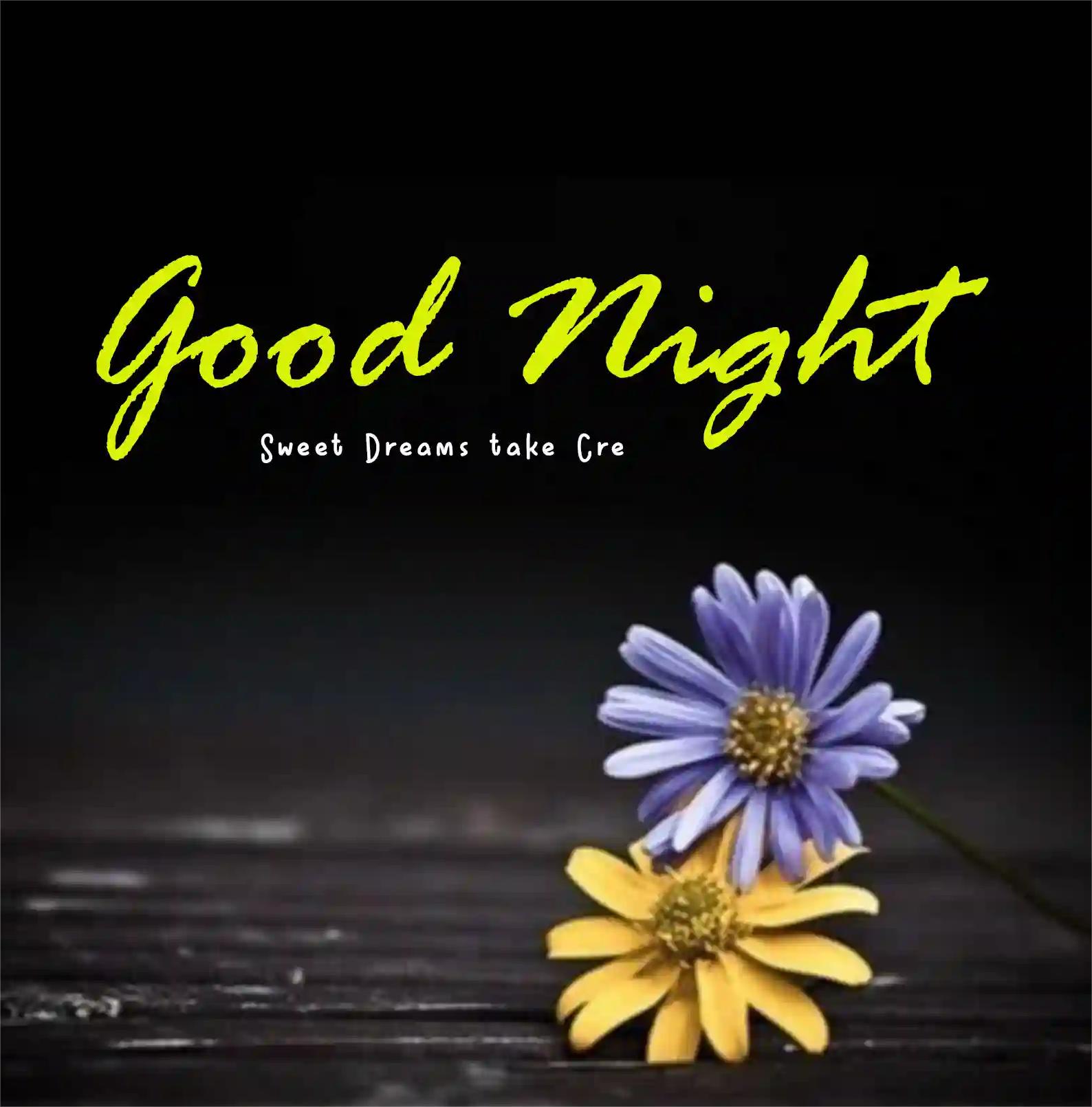 Good Night Images - Good Night Image New - Good Night Pic - शुभ रात्रि ...