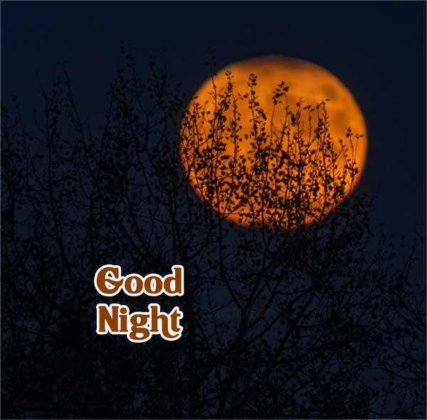 Good Night Images, good night image new, good night pic 43