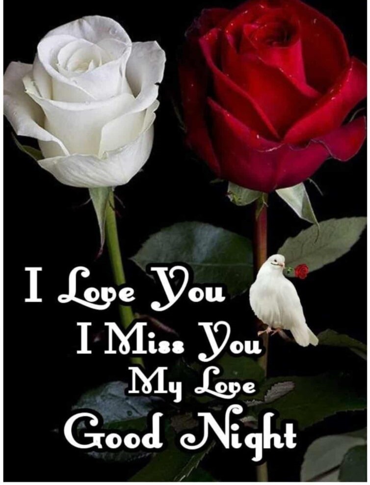 Good Night Images With Love, romantic good night images, good night baby images, good night love images for girlfriend 33