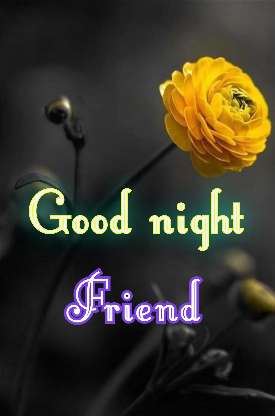 Good Night Images For Friends, friends good night shayari 37