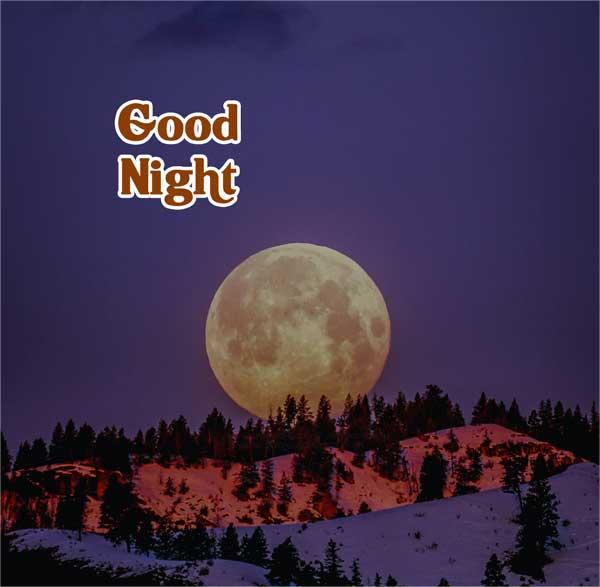 Good Night Images, good night image new, good night pic 49