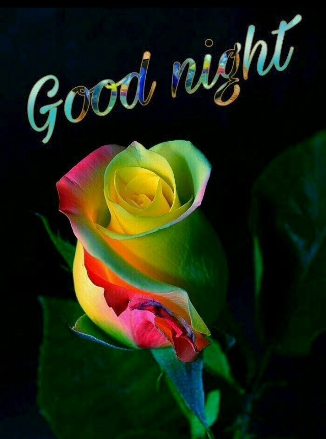 Good Night Images, good night image new, good night pic 22