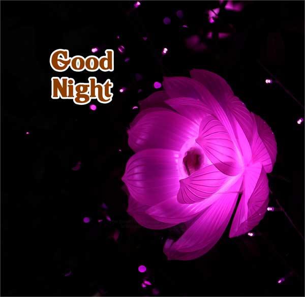 Good Night Images, good night image new, good night pic 33