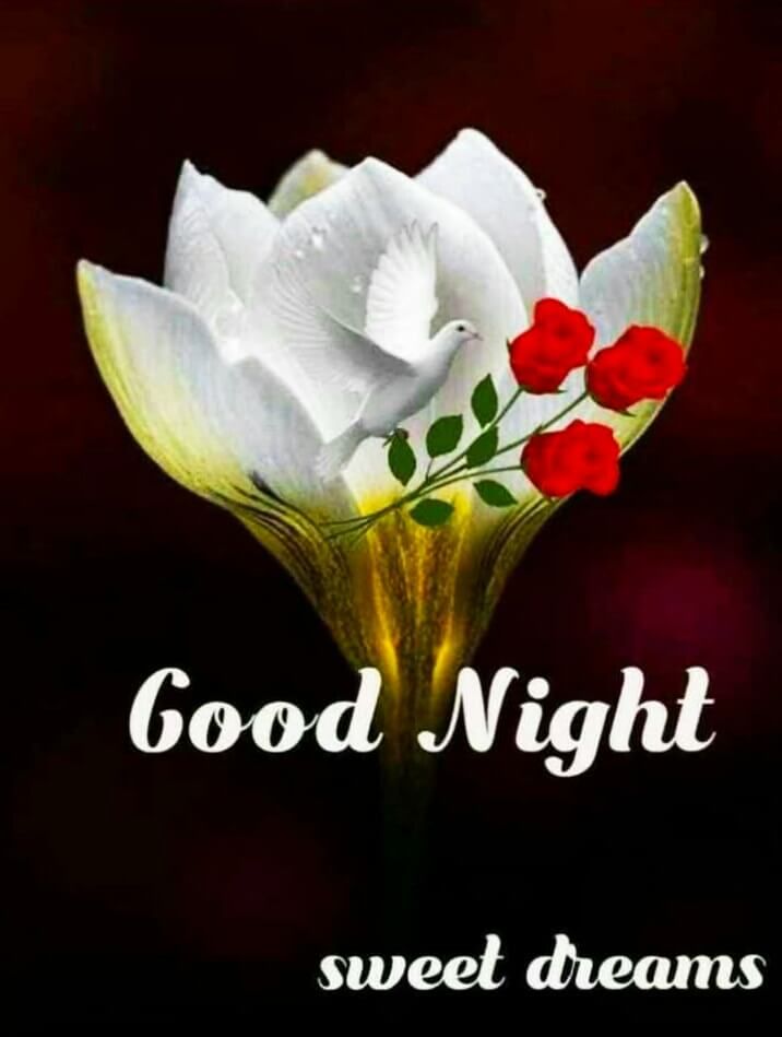 Good Night Images For Friends, friends good night shayari 8