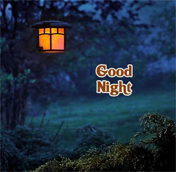 Good Night Images, good night image new, good night pic 41