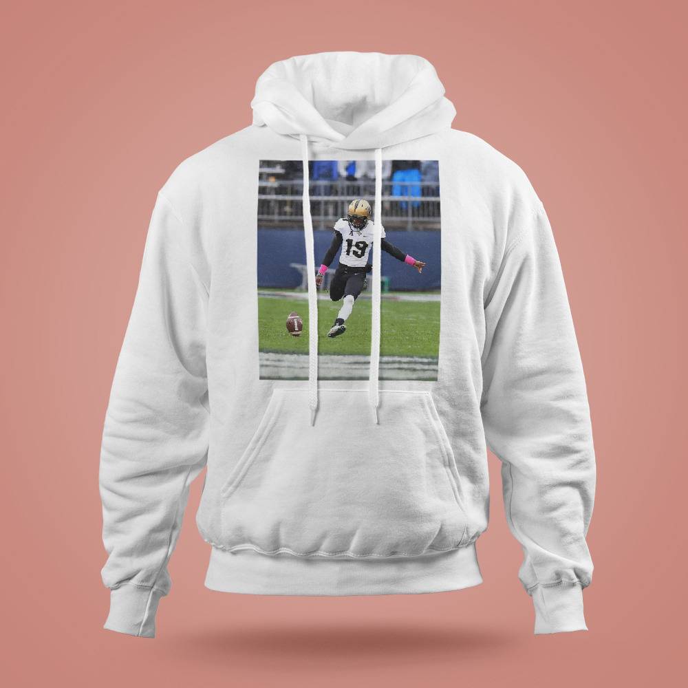 Deestroying Hoodie deestroyingmerch.store