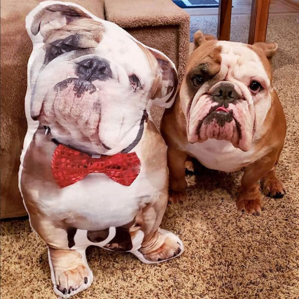 Custom Pet Face Pillow, 3D Portrait Pillow, Custom Pet Photo Pillow