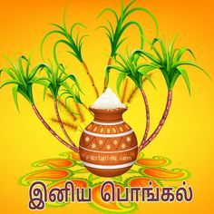 Pongal Wishes In Tamil 2023 Images 2