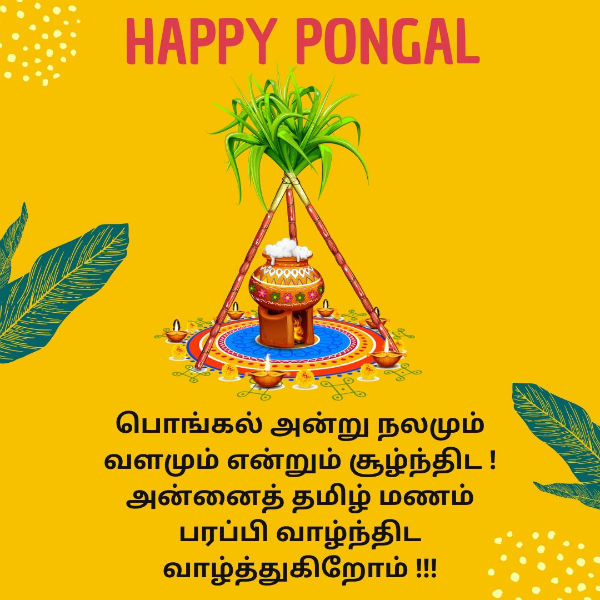 Pongal Wishes In Tamil Hd 4