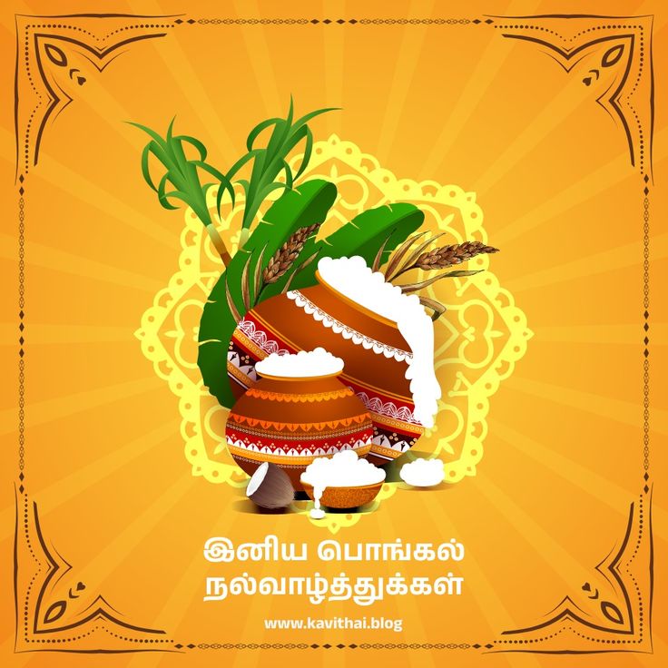 Pongal Wishes In Tamil 2024 Images 1