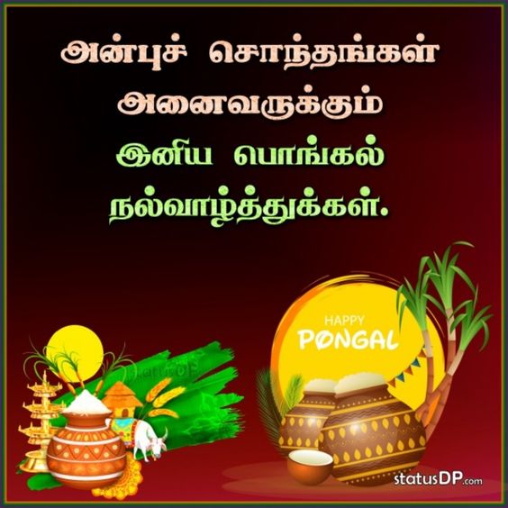 Pongal Wishes In Tamil Png 1