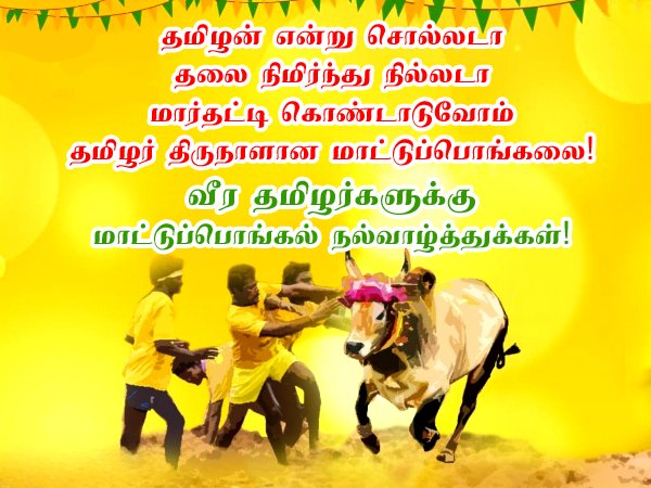 Mattu Pongal Wishes In Tamil