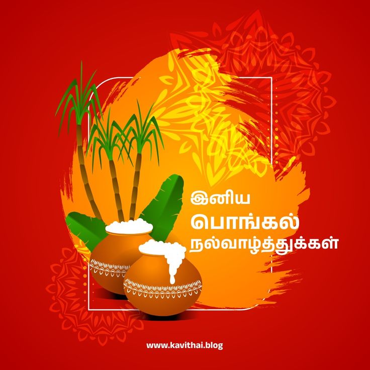 Pongal Wishes In Tamil 2024 Images 4